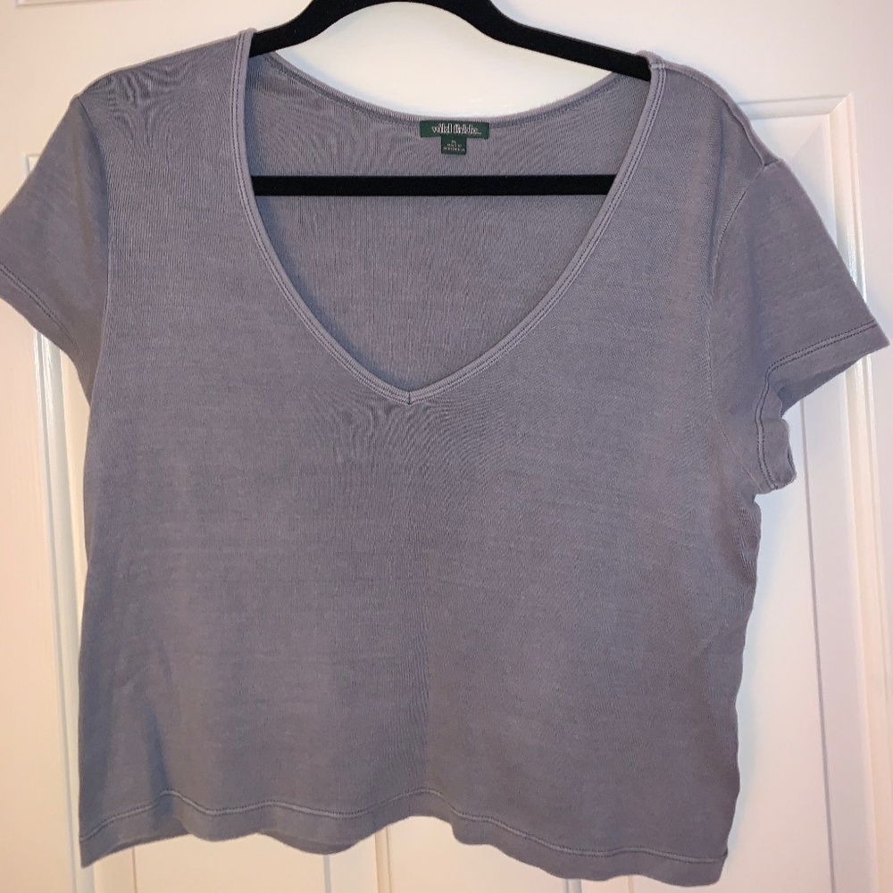 Wild Fable, V-Neck Crop Top, Blue/Gray
